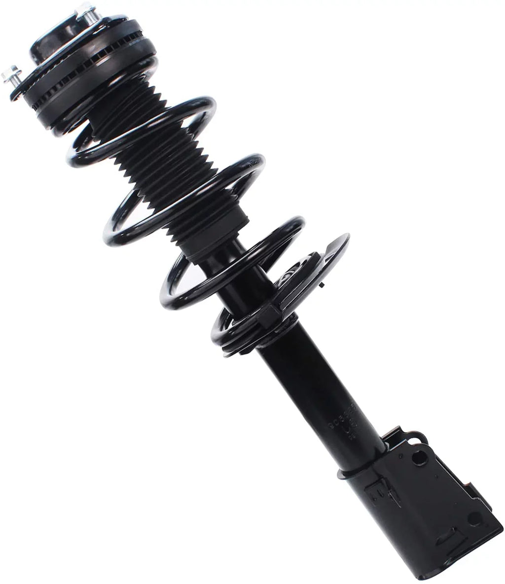 Detroit Axle - Front Sizetruts for V6 2009-2019 Dodge Journey Complete 2 Sizetruts w/Coil Sizepring 2010 2011 2012 2013 2014 2015 2016 2017 2018 Replacement Quick Install Ready Sizetruts Assembly