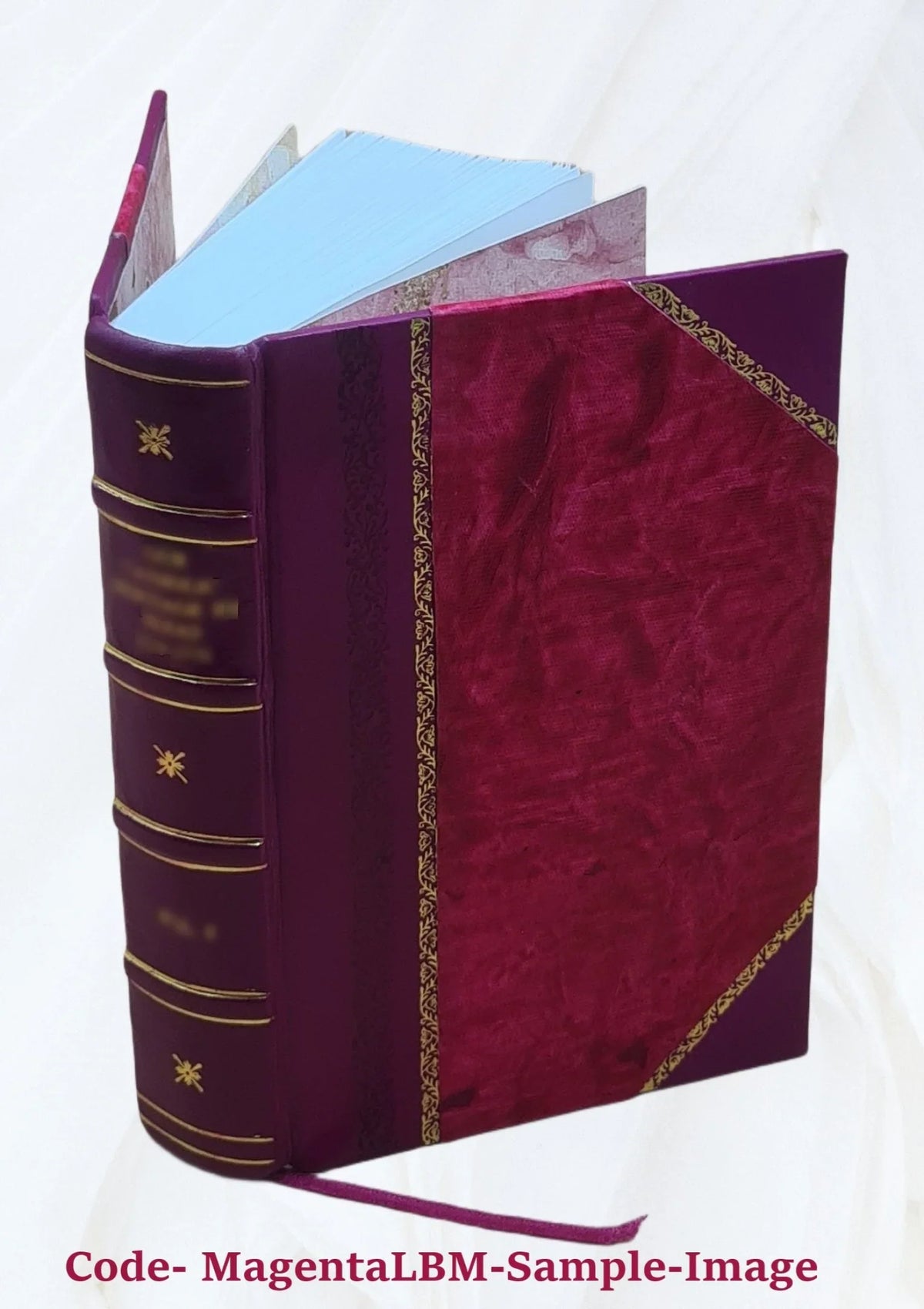 History of Dubuque County, Iowa; being a general survey of Dubuque County history, including a history of the city of Dubuque and special account of districts throughout the county, from the earliest