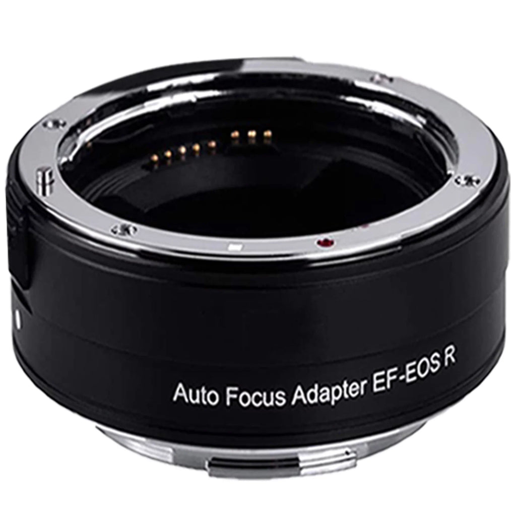 Canon EOSize R6 Mirrorless Digital Camera with RF 24-105mm SizeTM Lens + Mount Adapter + SizeanDisk 128GB + ZeeTech Accessory Bundle