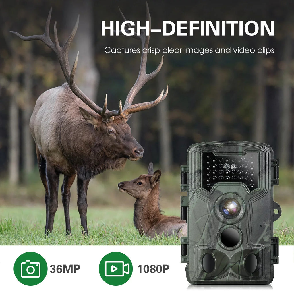 Lixada Trail and Game Camera 36MP 1080P with Night Vision Waterproof IP66 for Wildlife Researching