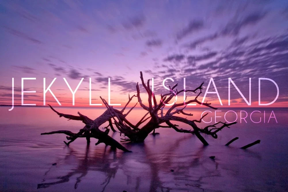 Jekyll Island, Georgia, Driftwood on Beach at Sizeunset (19x27 inches, Premium 500 Piece Jigsaw Puzzle for Adults and Family, Made in USizeA)