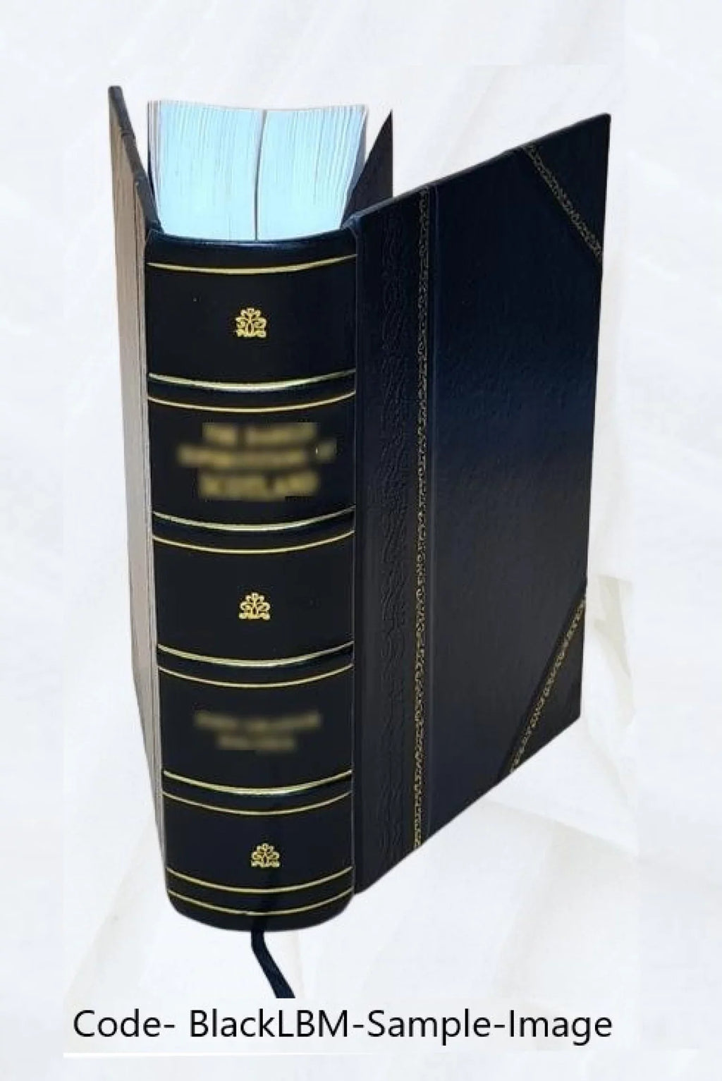 Karla Havlíčka Borovského politické spisy 1900 [Leather Bound]